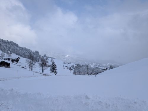 news/images/schnee-3.jpg